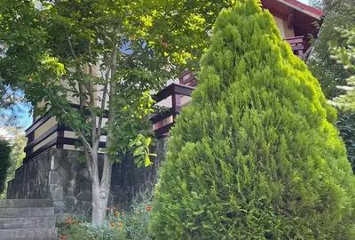 Casa de vacanta cocheta in Cornu renovata 2023! - 3