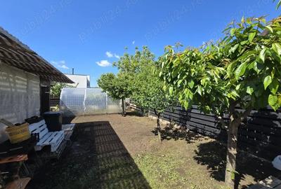 Casă cu 4 camere cu Teren 600 Mp în Valea Lupului - 7