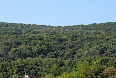Casa cu vedere spre padure! Hemeiusi - incalzire pardoseala - 4