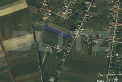 Teren de 3200 mp, în Lazuri - 1