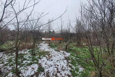 Casă cu Teren 9504 Mp în Poclușa de Barcău - 7