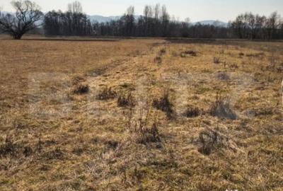 Teren de 4000 mp, în Central