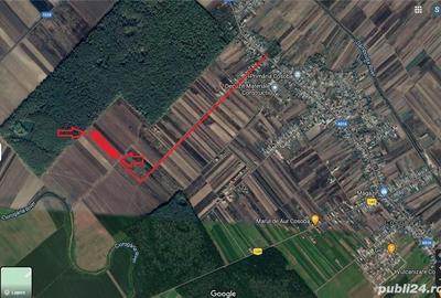 Teren de 2500 mp, în Cosoba - 1