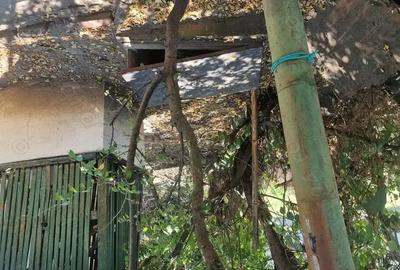 Casa de vanzare aproape de strand termal ?i centru Deta la 45 km de Timisoara - 2