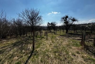 OPORTUNITATE! Teren intravilan, 9600 mp, zona Feleac - 6