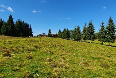 Teren Construcții de 1350 mp, în Beliș - 7