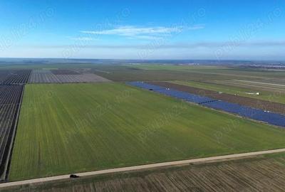 Vanzare teren. Oportunitate investitie, Jud.Giurgiu, Valter Maracineanu - 3
