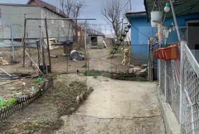 Casa 5 camere, teren 650 mp, Turda Noua - 12