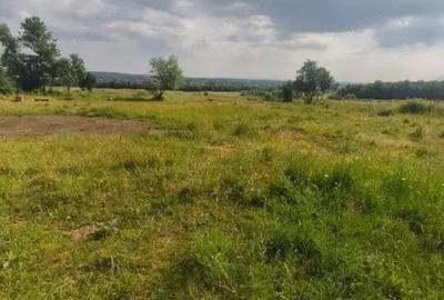 Casă cu 3 camere cu Teren 5000 Mp în Rădăuți - 5