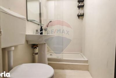 Apartament cu 2 camere în Cișmigiu - 12