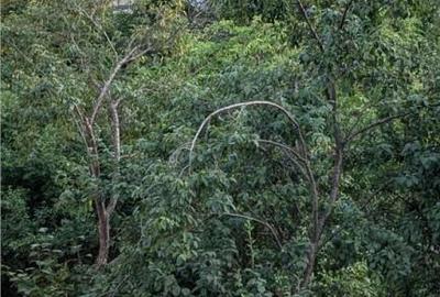 Apartament cu 2 camere decomandat în Mioriței - 1