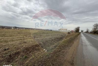 Spațiu comercial, în Fântânele - 2