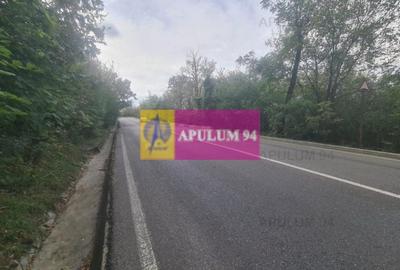 Teren de vânzare în Câmpina - 2