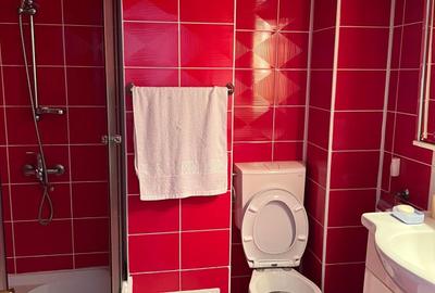 Apartament cu 2 camere în Ultracentral - 4