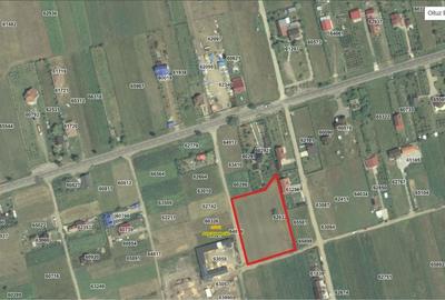 Teren de 6000 mp, în Oituz - 1