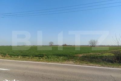 Teren de 11600 mp, în Iosefin - 1