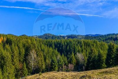 Teren de 13800 mp, în Fundățica - 1