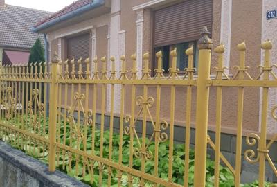 Casă individuală cu 5 camere cu Teren 3600 Mp în Petrești - 1