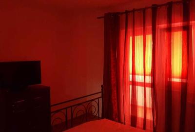 Apartament cu 2 camere decomandat în Craiovița Nouă - 2