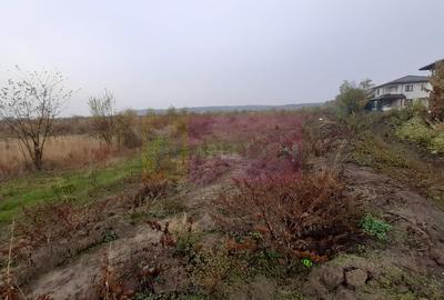 Teren în Corbeanca - 2