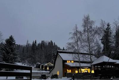 Casă individuală cu 8 camere cu Canalizare în Colibița - 3