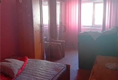 Apartament cu 2 camere decomandat în Gura Văii - 10
