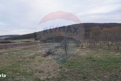 Teren de 517 mp, în Mărgineni - 2