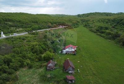 Casă individuală cu 4 camere cu Teren 57600 Mp în Sâncraiu Almașului - 23