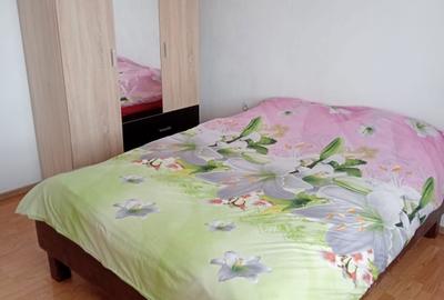 Casă cu 2 camere în Șura Mare - 4