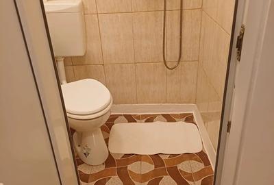 Garsoniera Vanzare Bd 1 Decembrie 1918 - 4