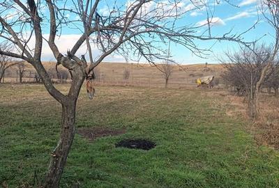 Casă cu 3 camere în Dâmbovița - 4