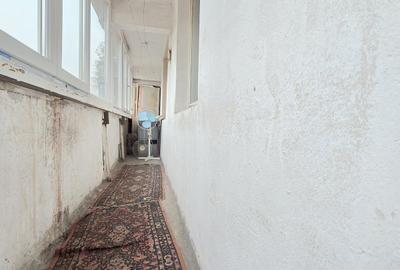 Lacul Tei - Maica Domnului, apropiere Facultatea de Constructii - 11