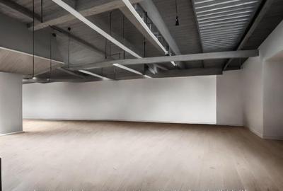De inchiriat spatiu industrial pentru depozitare, Budesti, jud Calarasi - 3