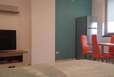 Apartament cu 1 camera, zona Tatarasi sud - 6