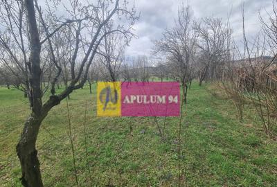 Teren de vanzare in Brebu - Zona Brebu Megiesesc - 10