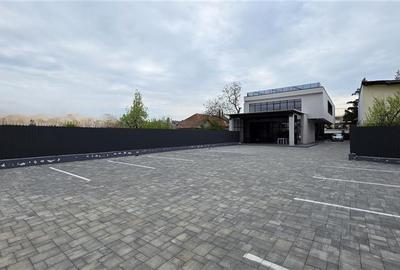 Birou, de 250 mp, în Aurel Vlaicu - 9