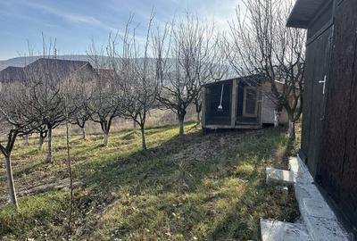 Spațiu comercial, în Chinteni - 3