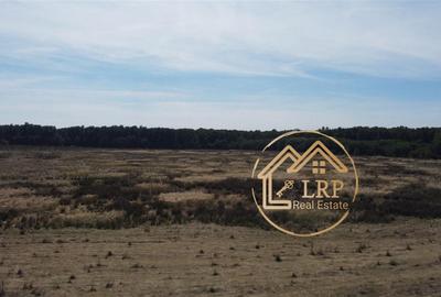 Pipera-Oxford-Padurea Baneasa, intravilan 3700mp Pipera-Oxford-Padurea Baneasa, intravilan 3700mp - 12