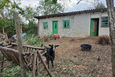 Casă cu Teren 2000 Mp în Cerchezu - 5