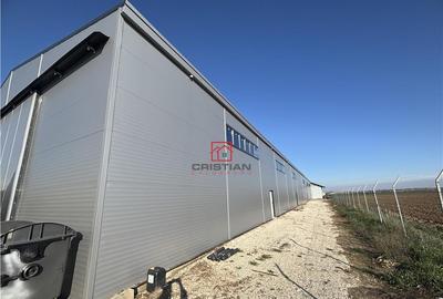 Depozit/hala/spatiu industrial Bolintin Deal - A1 - KM23 - 2