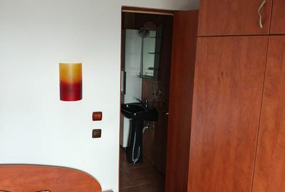 Apartament cu 3 camere decomandat în Mănăștur - 15