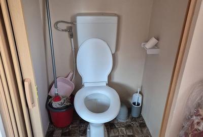 Casă cu 2 camere cu Teren 485 Mp în Criș - 2