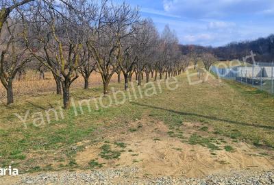 Teren de 2172 mp, în Albești - 3