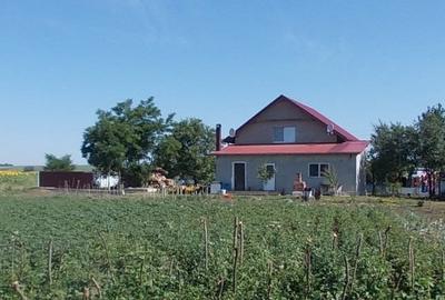 Casă individuală cu 5 camere cu Teren 1500 Mp în Dragalina (Cristinești) - 6
