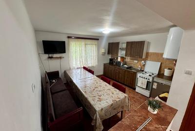 Casa individuala cu teren de 3823mp - 8