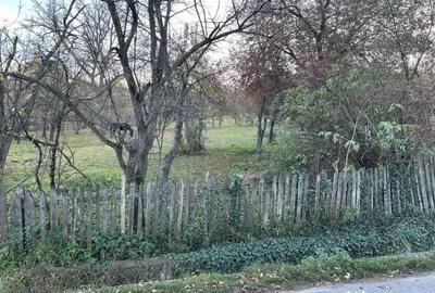 Teren de 2050 mp, în Izvoarele - 7