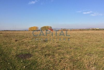 Teren de vanzare extravilan, Sanpetru - 3