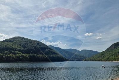 Teren intravilan cu deschidere la lacul Tarnita - 2