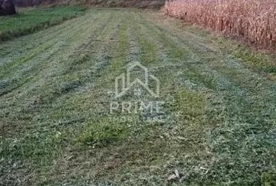 Teren de 708 mp, în Tău - 2