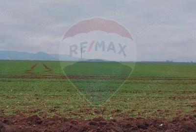 Comision 0 %! Teren extravilan, 21,175 mp Harman - 2